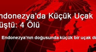 Endonezya'da Küçük Uçak Düştü: 4 Ölü