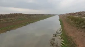Amik Ovasında Kuraklık