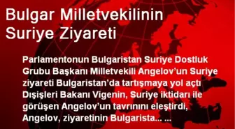 Bulgar Milletvekilinin Suriye Ziyareti