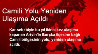 Camili Yolu Yeniden Ulaşıma Açıldı