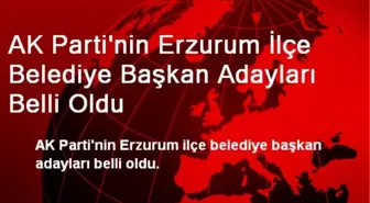 AK Parti'nin Erzurum İlçe Belediye Başkan Adayları Belli Oldu