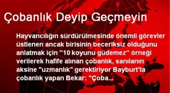 Çobanlık Deyip Geçmeyin