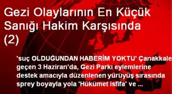 Gezi Olaylarının En Küçük Sanığı Hakim Karşısında (2)