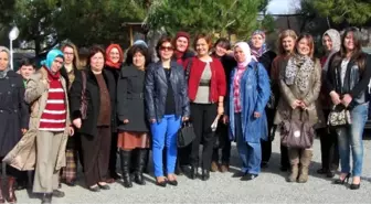 Söke AK Parti Kadın Kolları Seçim Startını Verdi