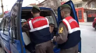 Marmaris'te Yaralı Şahini Jandarma Kurtardı