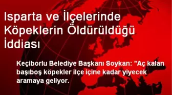 Isparta ve İlçelerinde Köpeklerin Öldürüldüğü İddiası