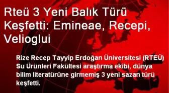 Rteü 3 Yeni Balık Türü Keşfetti: Emineae, Recepi, Velioglui