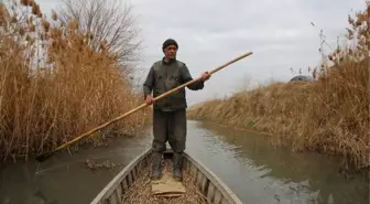 Özel Haber) Göçmen Kuşlar Evsiz Kaldı