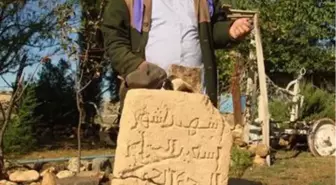 Evinin Bahçesi 'Açık Hava Müzesi' Gibi