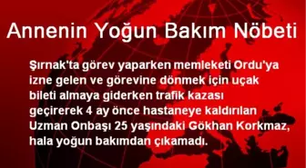 Annenin Yoğun Bakım Nöbeti