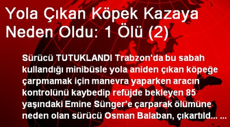 Yola Çıkan Köpek Kazaya Neden Oldu: 1 Ölü (2)