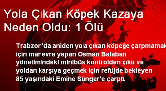 Yola Çıkan Köpek Kazaya Neden Oldu: 1 Ölü