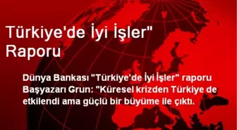 Türkiye'de İyi İşler' Raporu