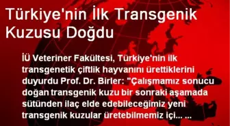 Türkiye'nin İlk Transgenik Kuzusu Doğdu