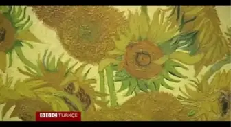 Van Gogh'un Ayçiçekleri Buluşuyor