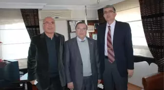 Zeytin Sayesinde Didim ile İspanya Arasında Bağlantı Kurulacak