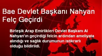 Bae Devlet Başkanı Nahyan Felç Geçirdi