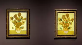 Ünlü Ressam Van Gogh'un 'Ayçiçekleri' İlk Kez Buluşuyor
