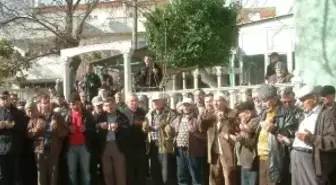 Burhaniye'de Kuraklık Çiftçileri Telaşlandırdı