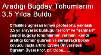 Aradığı Buğday Tohumlarını 3,5 Yılda Buldu