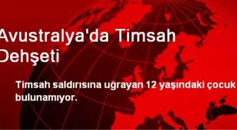 Avustralya'da Timsah Dehşeti