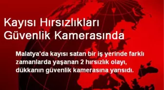 Kayısı Hırsızlıkları Güvenlik Kamerasında