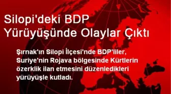 Silopi'deki BDP Yürüyüşünde Olaylar Çıktı