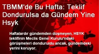 TBMM'de Bu Hafta: Teklif Dondurulsa da Gündem Yine Hsyk