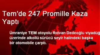 Tem'de 247 Promille Kaza Yaptı