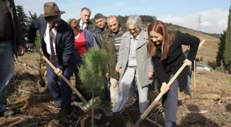 Aydos Ormanı'na 5 Bin 200 Fıstık Çamı Fidanı Dikildi