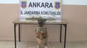 Jandarmadan Uyuşturucu Operasyonu