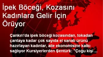 İpek Böceği, Kozasını Kadınlara Gelir İçin Örüyor