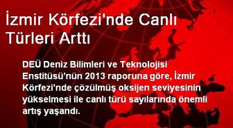 İzmir Körfezi'nde Canlı Türleri Arttı