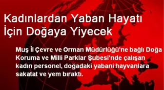 Kadınlardan Yaban Hayatı İçin Doğaya Yiyecek