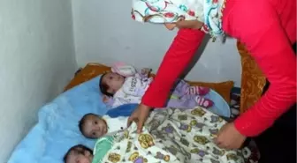 Gaziantep'te Yetim Kalan Dördüzlere Dernekten Yardım Eli