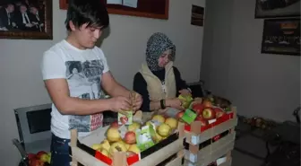 Bayramiç'te Elma Hediyeli Film Galası