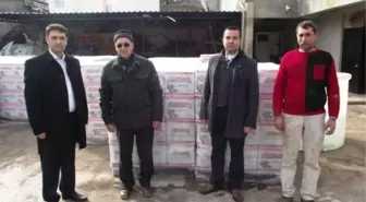 Havran'dan Almanya'ya Zeytin İhracatı