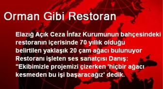 Orman Gibi Restoran