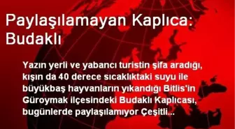 Paylaşılamayan Kaplıca: Budaklı