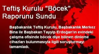 Teftiş Kurulu 'Böcek' Raporunu Sundu