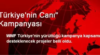 Türkiye'nin Canı' Kampanyası