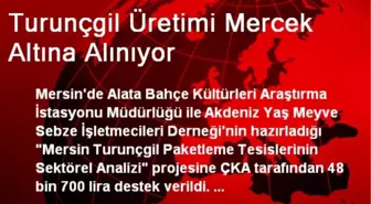 Turunçgil Üretimi Mercek Altına Alınıyor