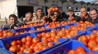 Özel Haber) İstanbul'da Kilosu 8 TL Fethiye'de Kasası 1 Tl