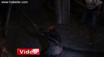 Keçilerini Ararken Kuyuya Düştü