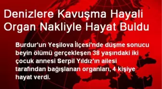 Denizlere Kavuşma Hayali Organ Nakliyle Hayat Buldu