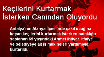 Keçilerini Kurtarmak İsterken Canından Oluyordu