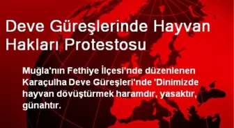 Deve Güreşlerinde Hayvan Hakları Protestosu