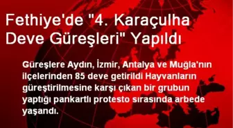 Fethiye'de '4. Karaçulha Deve Güreşleri' Yapıldı