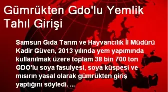 Gümrükten Gdo'lu Yemlik Tahıl Girişi