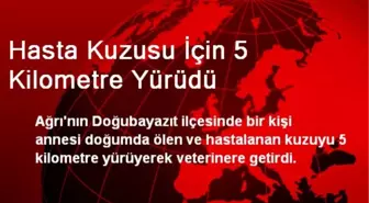Hasta Kuzusu İçin 5 Kilometre Yürüdü